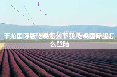 手游国际版吃鸡怎么下载,吃鸡国际服怎么登陆