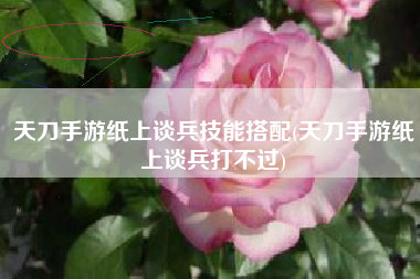 天刀手游纸上谈兵技能搭配(天刀手游纸上谈兵打不过)