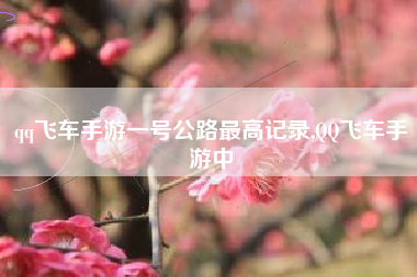 qq飞车手游一号公路最高记录,QQ飞车手游中