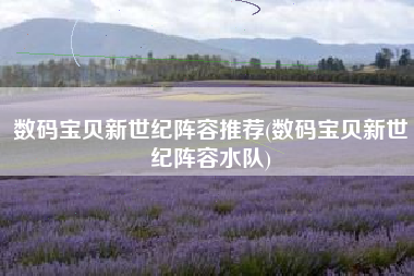 数码宝贝新世纪阵容推荐(数码宝贝新世纪阵容水队)