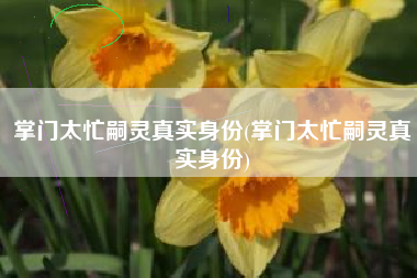 掌门太忙嗣灵真实身份(掌门太忙嗣灵真实身份)