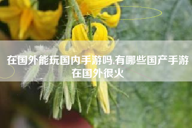 在国外能玩国内手游吗,有哪些国产手游在国外很火
