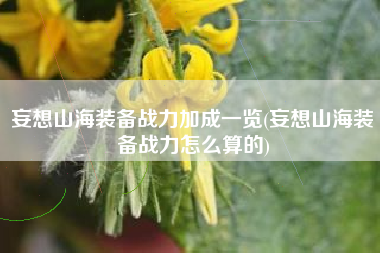 妄想山海装备战力加成一览(妄想山海装备战力怎么算的) 妄想山海装备战力加成一览(妄想山海装备战力怎么算的)
