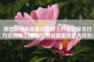 微信如何设置面容支付（开启面容支付方法说明）(微信如何设置面容进入钱包)