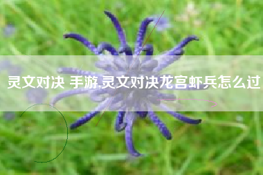 灵文对决 手游,灵文对决龙宫虾兵怎么过