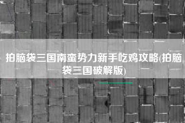 拍脑袋三国南蛮势力新手吃鸡攻略(拍脑袋三国破解版)
