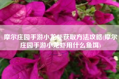 摩尔庄园手游小龙虾获取方法攻略(摩尔庄园手游小龙虾用什么鱼饵)