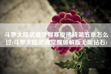 斗罗大陆武魂觉醒寒夜拂晓第五章怎么过(斗罗大陆武魂觉醒破解版无限钻石)