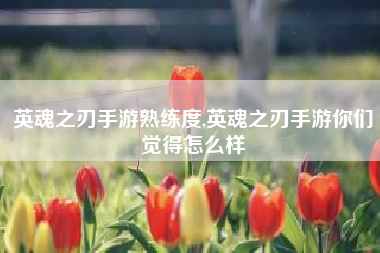 英魂之刃手游熟练度,英魂之刃手游你们觉得怎么样