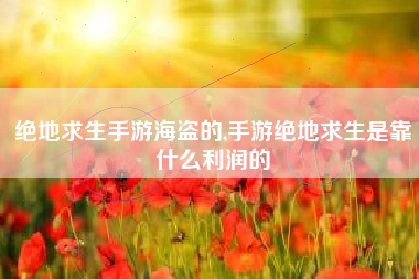 绝地求生手游海盗的,手游绝地求生是靠什么利润的