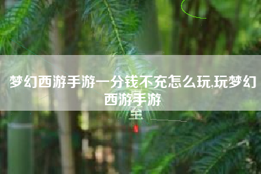 梦幻西游手游一分钱不充怎么玩,玩梦幻西游手游