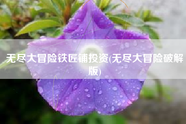 无尽大冒险铁匠铺投资(无尽大冒险破解版)
