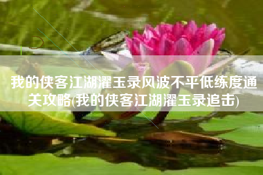 我的侠客江湖濯玉录风波不平低练度通关攻略(我的侠客江湖濯玉录追击)
