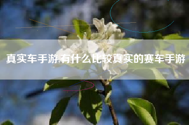 真实车手游,有什么比较真实的赛车手游