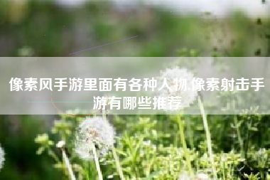 像素风手游里面有各种人物,像素射击手游有哪些推荐