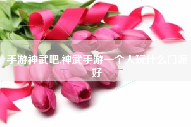 手游神武吧,神武手游一个人玩什么门派好