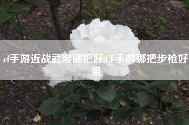 cf手游近战武器哪把好,CF手游哪把步枪好用