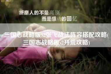 三国志战略版S2张飞战法阵容搭配攻略(三国志战略版s2开荒攻略)