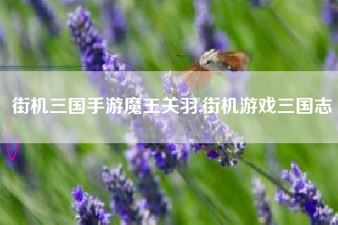 街机三国手游魔王关羽,街机游戏三国志