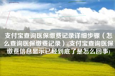 支付宝查询医保缴费记录详细步骤（怎么查询医保缴费记录）(支付宝查询医保缴费信息显示已经到底了是怎么回事)