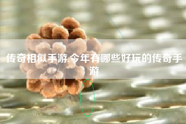 传奇相似手游,今年有哪些好玩的传奇手游