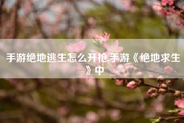 手游绝地逃生怎么开枪,手游《绝地求生》中