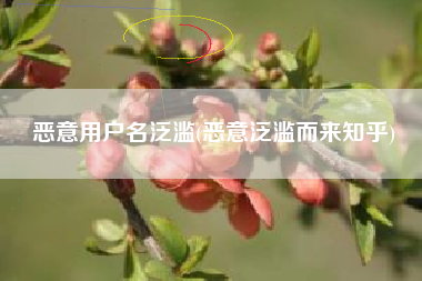 恶意用户名泛滥(恶意泛滥而来知乎)
