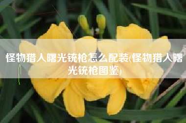 怪物猎人曙光铳枪怎么配装(怪物猎人曙光铳枪图鉴)