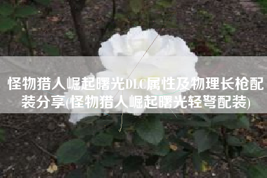 怪物猎人崛起曙光DLC属性及物理长枪配装分享(怪物猎人崛起曙光轻弩配装)