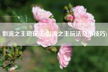 影流之主劫玩法(影流之主玩法及小技巧)