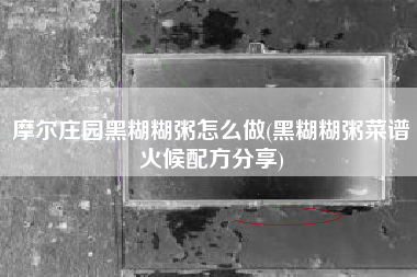 摩尔庄园黑糊糊粥怎么做(黑糊糊粥菜谱火候配方分享)
