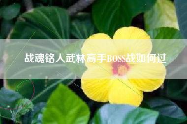 战魂铭人武林高手BOSS战如何过