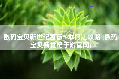 数码宝贝新世纪蔷薇20本打法攻略 (数码宝贝新世纪手游官网)
