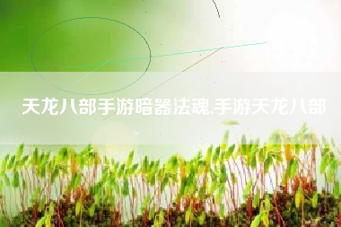 天龙八部手游暗器法魂,手游天龙八部