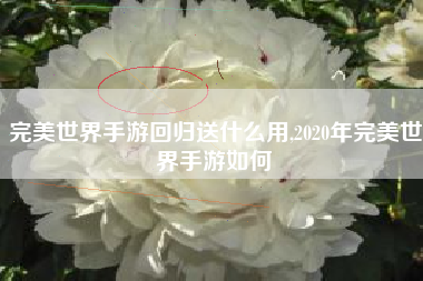 完美世界手游回归送什么用,2020年完美世界手游如何