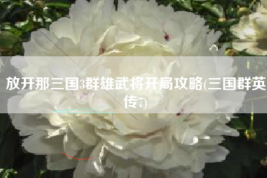 放开那三国3群雄武将开局攻略(三国群英传7)