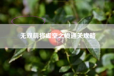 无双萌将虚空之境通关攻略