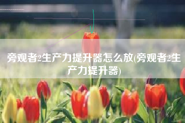 旁观者2生产力提升器怎么放(旁观者2生产力提升器)