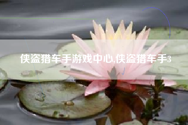 侠盗猎车手游戏中心,侠盗猎车手3