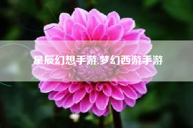星辰幻想手游,梦幻西游手游