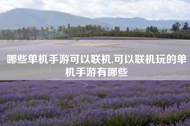 哪些单机手游可以联机,可以联机玩的单机手游有哪些