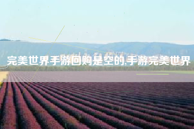 完美世界手游回购是空的,手游完美世界