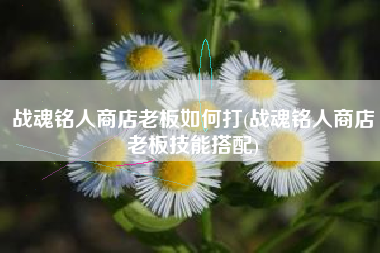 战魂铭人商店老板如何打(战魂铭人商店老板技能搭配)