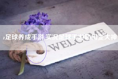 z足球养成手游,实况足球手游如何变大神