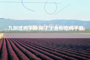 九阴吃鸡手游,除了王者和吃鸡手游