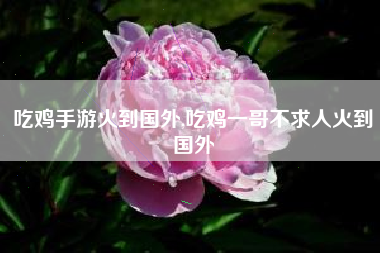吃鸡手游火到国外,吃鸡一哥不求人火到国外