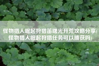 怪物猎人崛起狩猎笛曙光开荒攻略分享(怪物猎人崛起狩猎任务可以捕获吗)