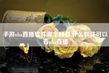 手游nba直播软件哪个好看,什么软件可以看nba直播