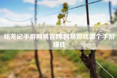 炫龙记手游网易官网,网易游戏哪个手游赚钱