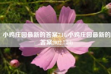 小鸡庄园最新的答案7.11(小鸡庄园最新的答案2022.7.24)